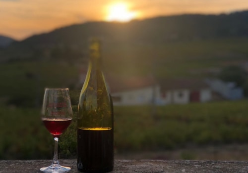 Confused by Wine Labels? Types of Wine Explained Simply and Clearly